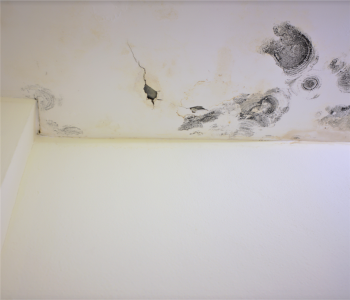 mold growing on the ceiling of a home